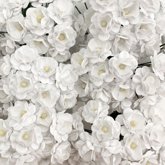 12 White Paper Flower Blossoms ~ 5/8"